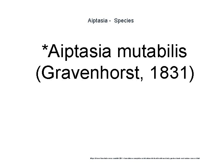 Aiptasia - Species *Aiptasia mutabilis (Gravenhorst, 1831) 1 https: //store. theartofservice. com/itil-2011 -foundation-complete-certification-kit-fourth-edition-study-guide-ebook-and-online-course. html