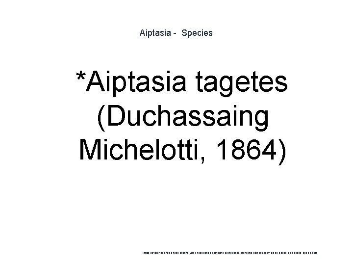 Aiptasia - Species 1 *Aiptasia tagetes (Duchassaing Michelotti, 1864) https: //store. theartofservice. com/itil-2011 -foundation-complete-certification-kit-fourth-edition-study-guide-ebook-and-online-course.