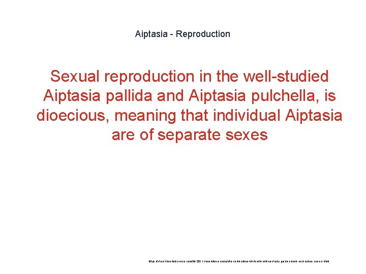 Aiptasia - Reproduction Sexual reproduction in the well-studied Aiptasia pallida and Aiptasia pulchella, is