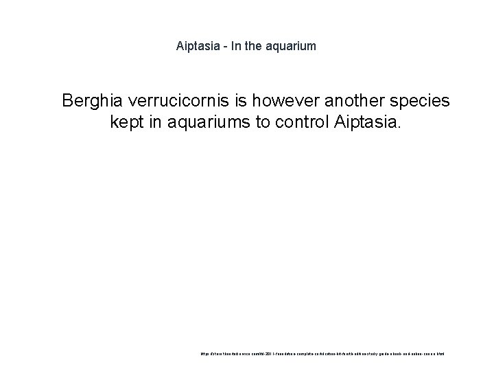 Aiptasia - In the aquarium 1 Berghia verrucicornis is however another species kept in