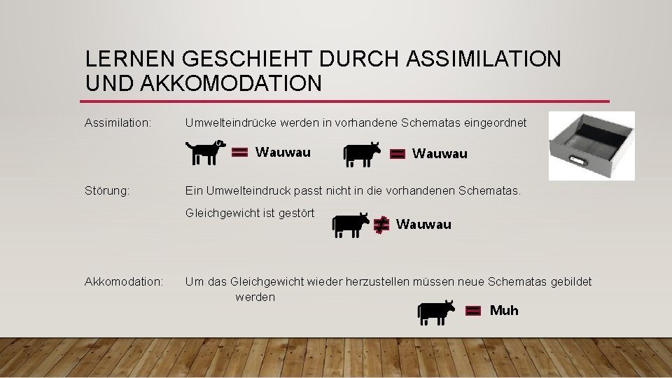 LERNEN GESCHIEHT DURCH ASSIMILATION UND AKKOMODATION Assimilation: Umwelteindrücke werden in vorhandene Schematas eingeordnet Wauwau