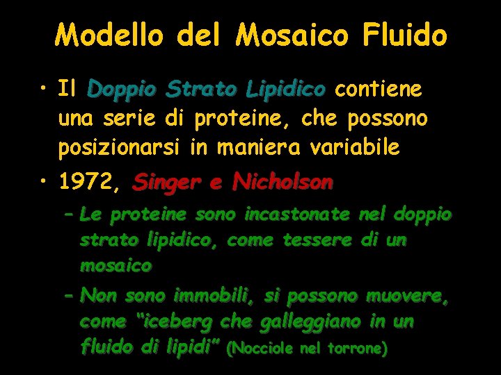 Modello del Mosaico Fluido • Il Doppio Strato Lipidico contiene una serie di proteine,