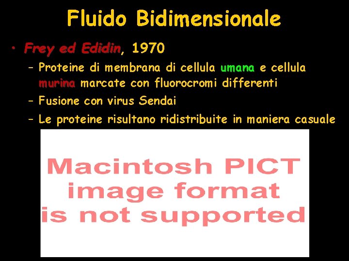 Fluido Bidimensionale • Frey ed Edidin, Edidin 1970 – Proteine di membrana di cellula