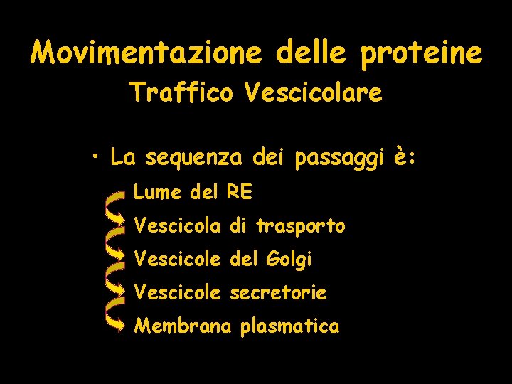 Movimentazione delle proteine Traffico Vescicolare • La sequenza dei passaggi è: Lume del RE