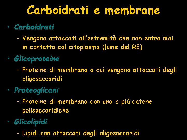 Carboidrati e membrane • Carboidrati – Vengono attaccati all’estremità che non entra mai in