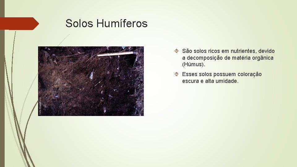 Solos Humíferos São solos ricos em nutrientes, devido a decomposição de matéria orgânica (Húmus).