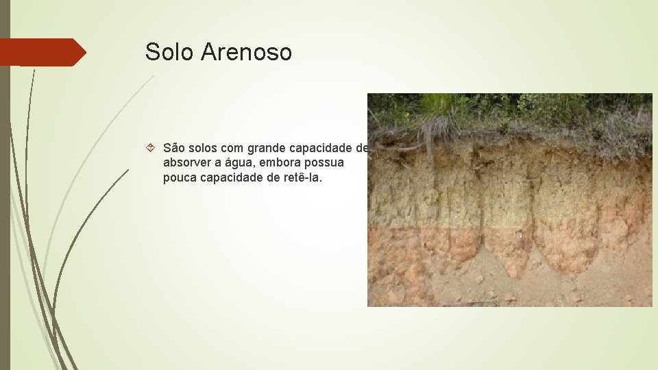 Solo Arenoso São solos com grande capacidade de absorver a água, embora possua pouca