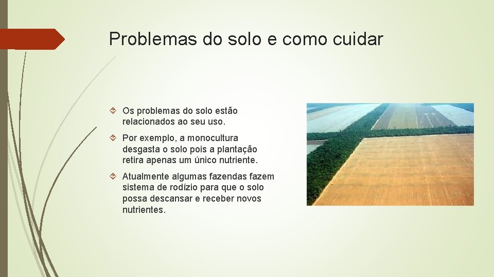 Problemas do solo e como cuidar Os problemas do solo estão relacionados ao seu