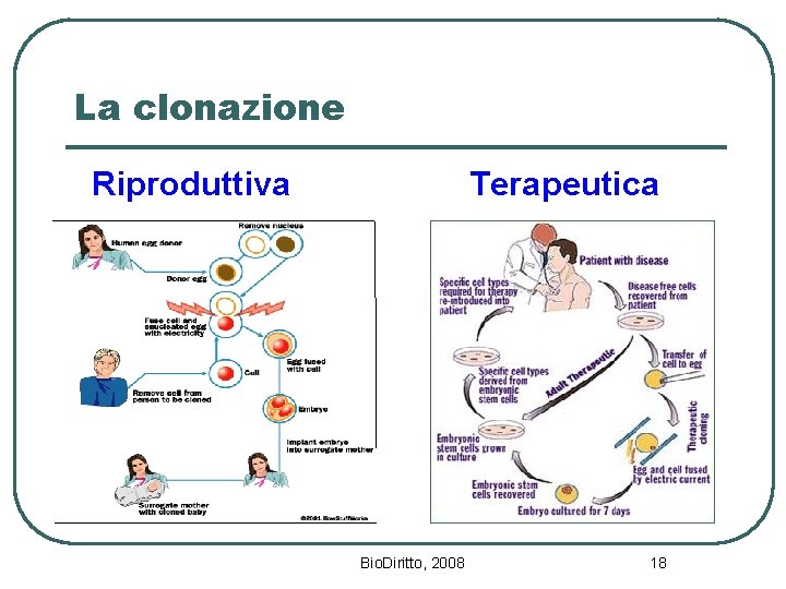 La clonazione Riproduttiva Terapeutica Bio. Diritto, 2008 18 