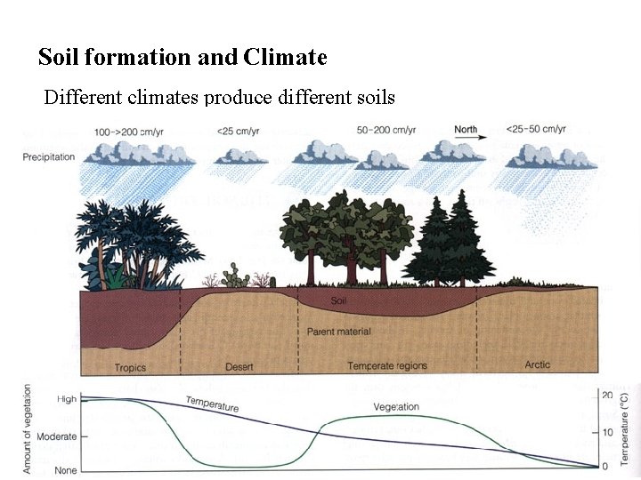 Soil formation and Climate Different climates produce different soils 