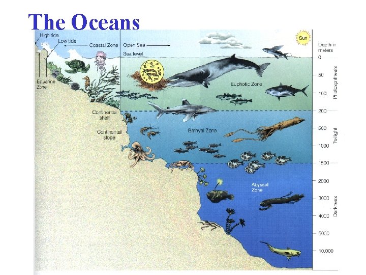 The Oceans 