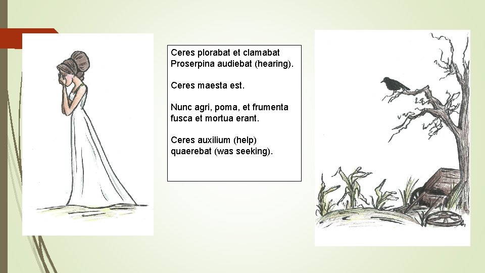 Ceres plorabat et clamabat Proserpina audiebat (hearing). Ceres maesta est. Nunc agri, poma, et