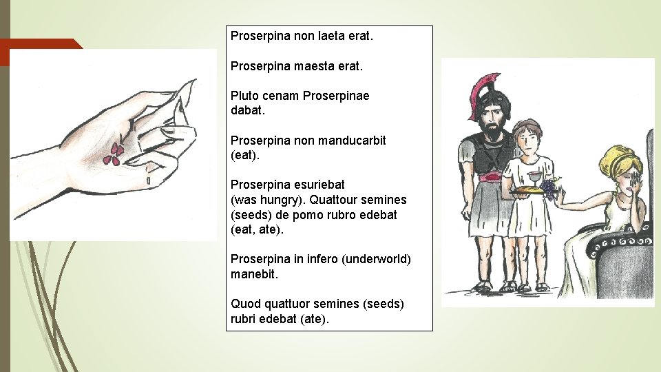 Proserpina non laeta erat. Proserpina maesta erat. Pluto cenam Proserpinae dabat. Proserpina non manducarbit