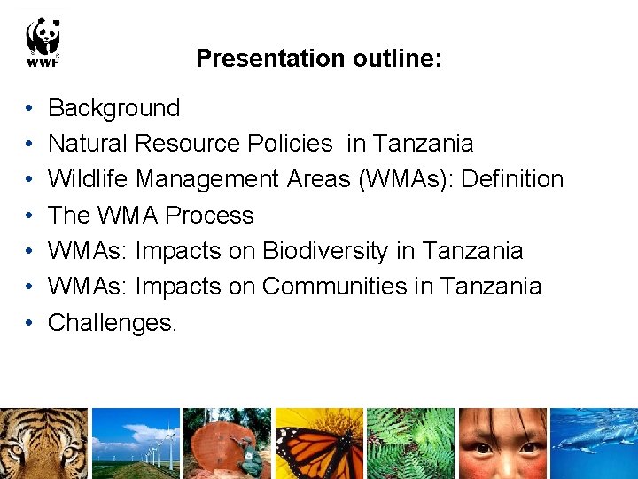 Presentation outline: • • Background Natural Resource Policies in Tanzania Wildlife Management Areas (WMAs):