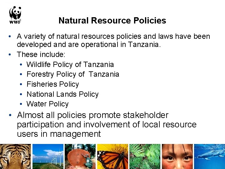 Natural Resource Policies • A variety of natural resources policies and laws have been