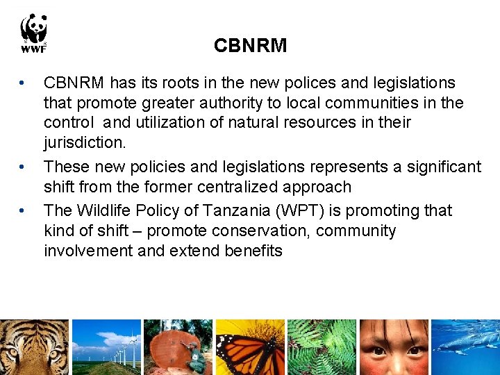 CBNRM • • • CBNRM has its roots in the new polices and legislations
