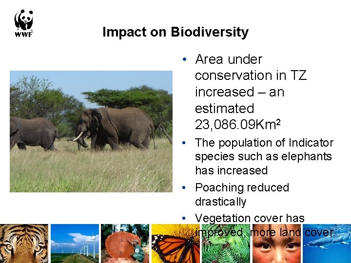 Impact on Biodiversity • Area under conservation in TZ increased – an estimated 23,