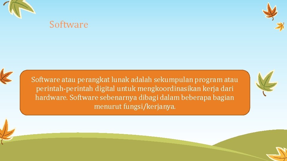 Software atau perangkat lunak adalah sekumpulan program atau perintah-perintah digital untuk mengkoordinasikan kerja dari