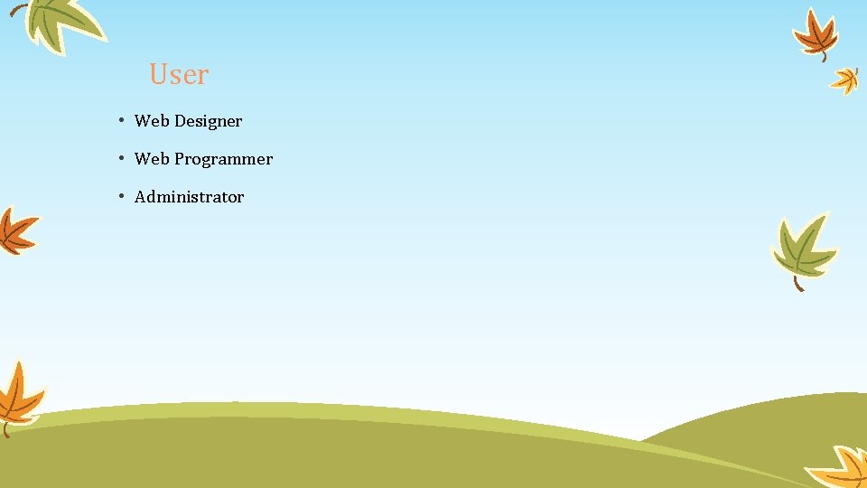 User • Web Designer • Web Programmer • Administrator 