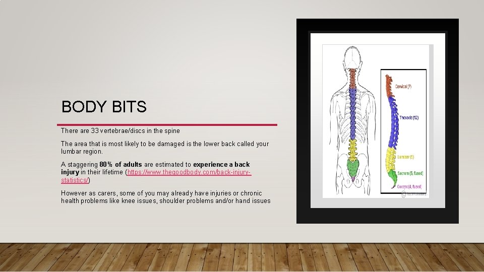 BODY BITS There are 33 vertebrae/discs in the spine The area that is most