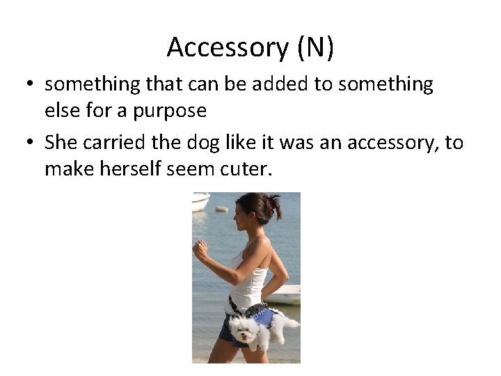 Accessory (N) • something that can be added to something else for a purpose