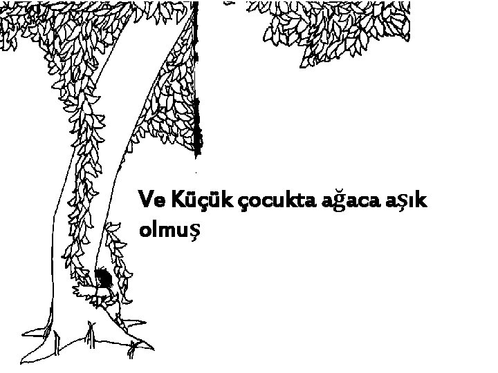 Ve Küçük çocukta ağaca aşık olmuş 