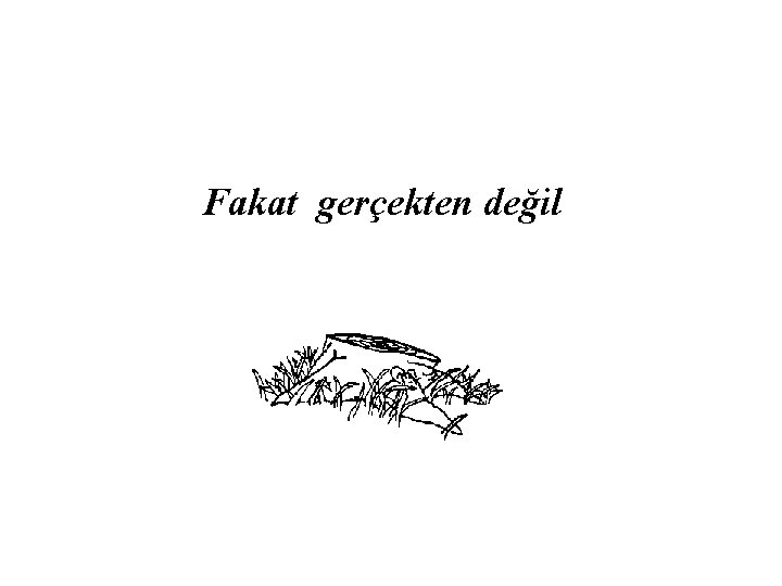 Fakat gerçekten değil 