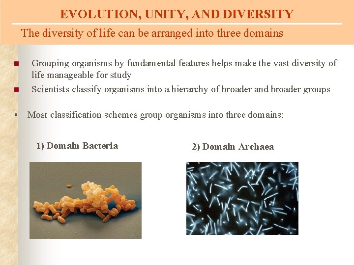 EVOLUTION, UNITY, AND DIVERSITY The diversity of life can be arranged into three domains