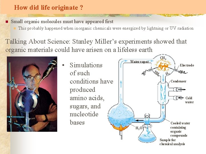 How did life originate ? n Small organic molecules must have appeared first n