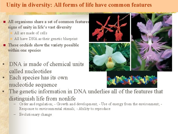 Unity in diversity: All forms of life have common features n All organisms share