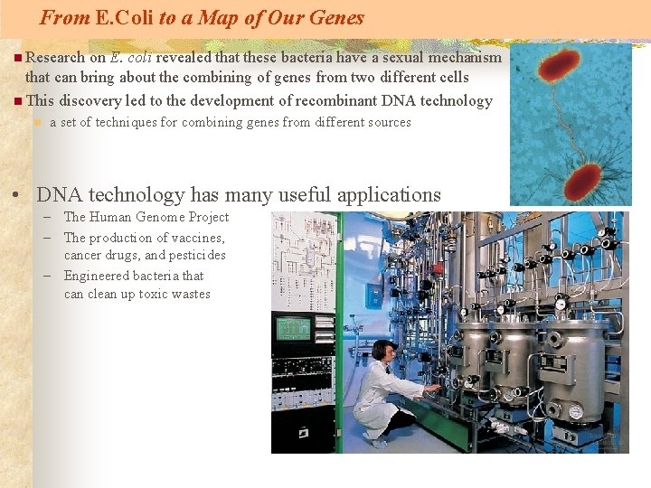 From E. Coli to a Map of Our Genes n Research on E. coli