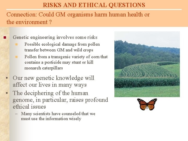 RISKS AND ETHICAL QUESTIONS Connection: Could GM organisms harm human health or the environment