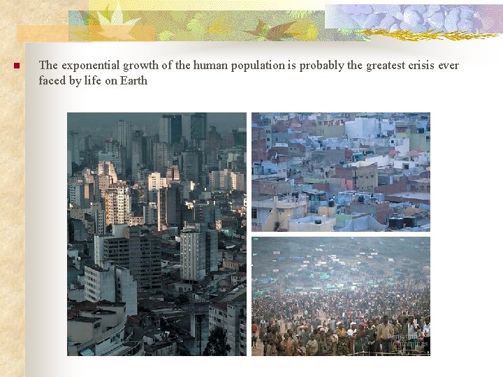 n The exponential growth of the human population is probably the greatest crisis ever