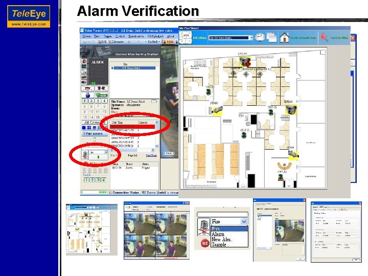 Alarm Verification 