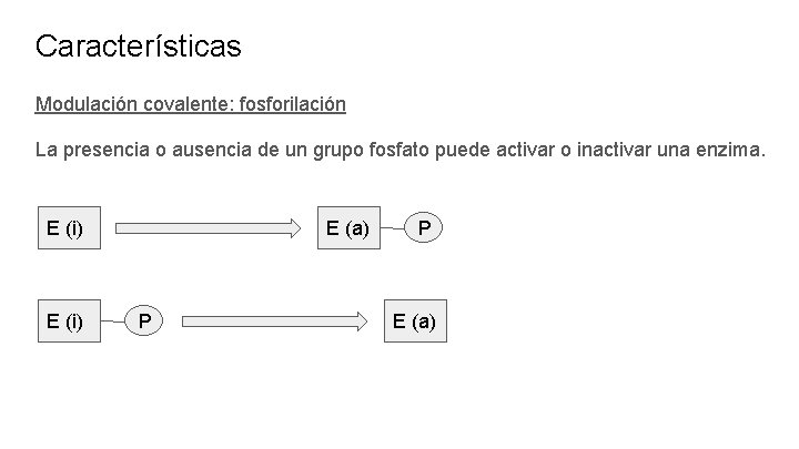 Características Modulación covalente: fosforilación La presencia o ausencia de un grupo fosfato puede activar
