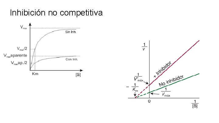 Inhibición no competitiva 