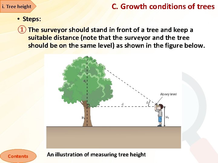 i. Tree height C. Growth conditions of trees • Steps: ① The surveyor should