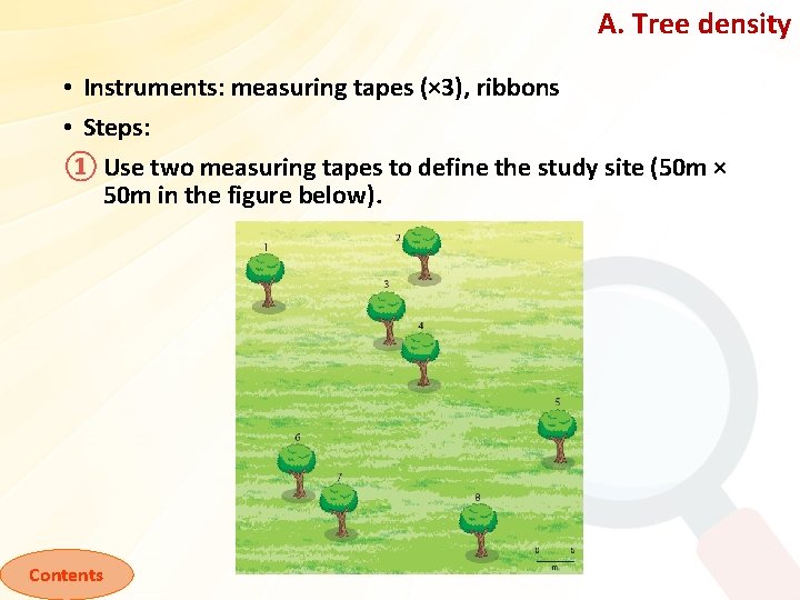 A. Tree density • Instruments: measuring tapes (× 3), ribbons • Steps: ① Use