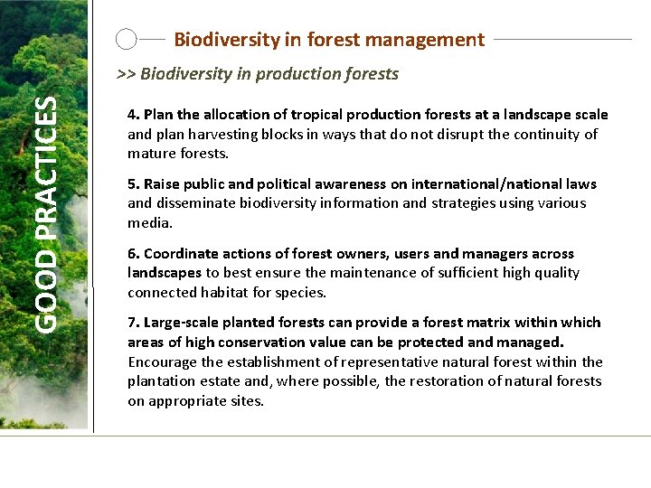 SUSTAINABLE FOREST MANAGEMENT BIODIVERSITY and LIVELIHOODS This ...
