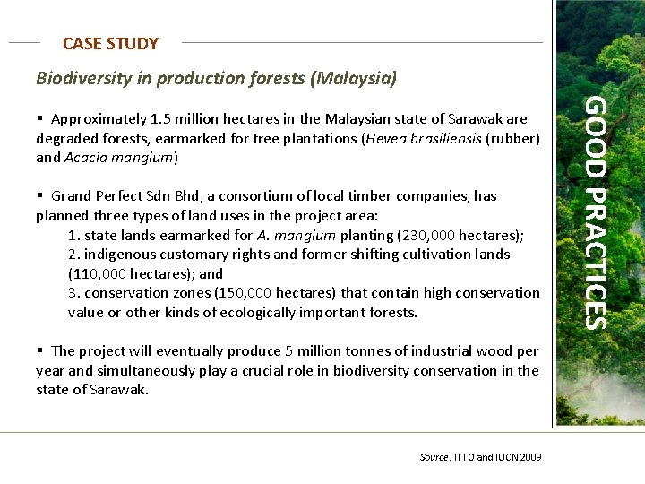 SUSTAINABLE FOREST MANAGEMENT BIODIVERSITY and LIVELIHOODS This ...