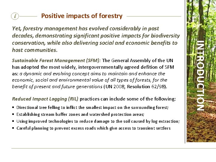 SUSTAINABLE FOREST MANAGEMENT BIODIVERSITY and LIVELIHOODS This ...