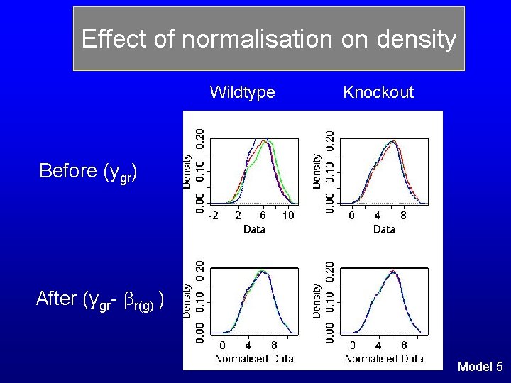 Effect of normalisation on density Wildtype Knockout Before (ygr) After (ygr- r(g) ) Model Effect of normalisation on density Wildtype Knockout Before (ygr) After (ygr- r(g) ) Model