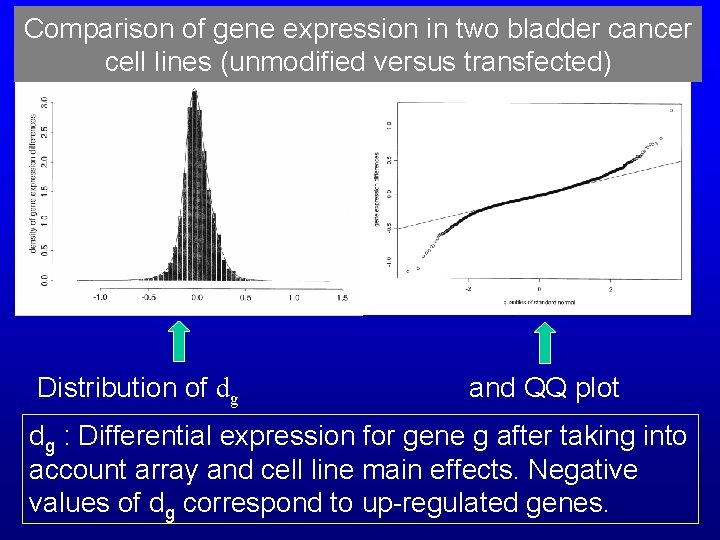Comparison of gene expression in two bladder cancer cell lines (unmodified versus transfected) Distribution Comparison of gene expression in two bladder cancer cell lines (unmodified versus transfected) Distribution