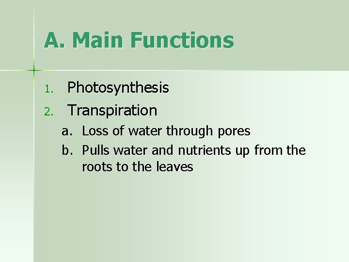 A. Main Functions 1. 2. Photosynthesis Transpiration a. Loss of water through pores b.