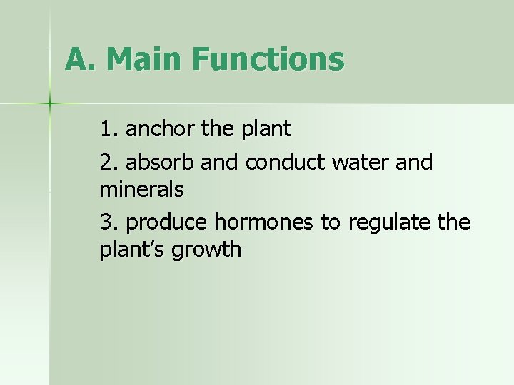 A. Main Functions 1. anchor the plant 2. absorb and conduct water and minerals