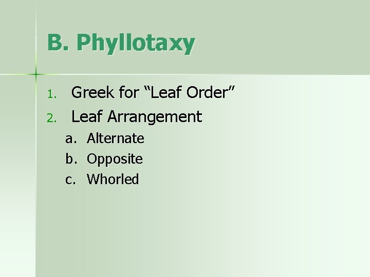 B. Phyllotaxy 1. 2. Greek for “Leaf Order” Leaf Arrangement a. b. c. Alternate