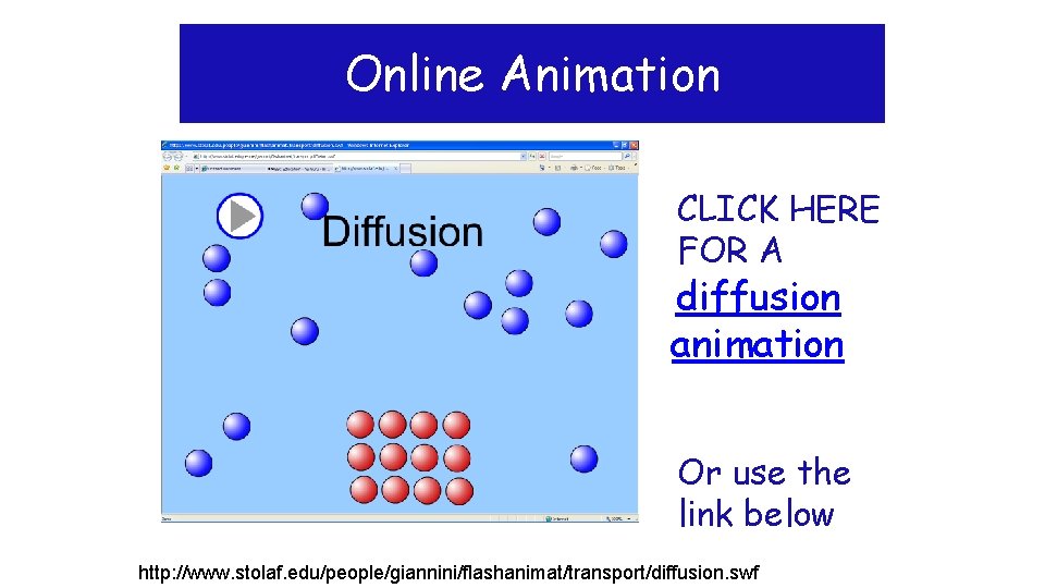 Online Animation CLICK HERE FOR A diffusion animation Or use the link below http: