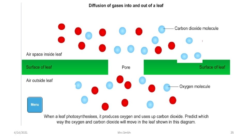 6/16/2021 Mrs Smith 25 