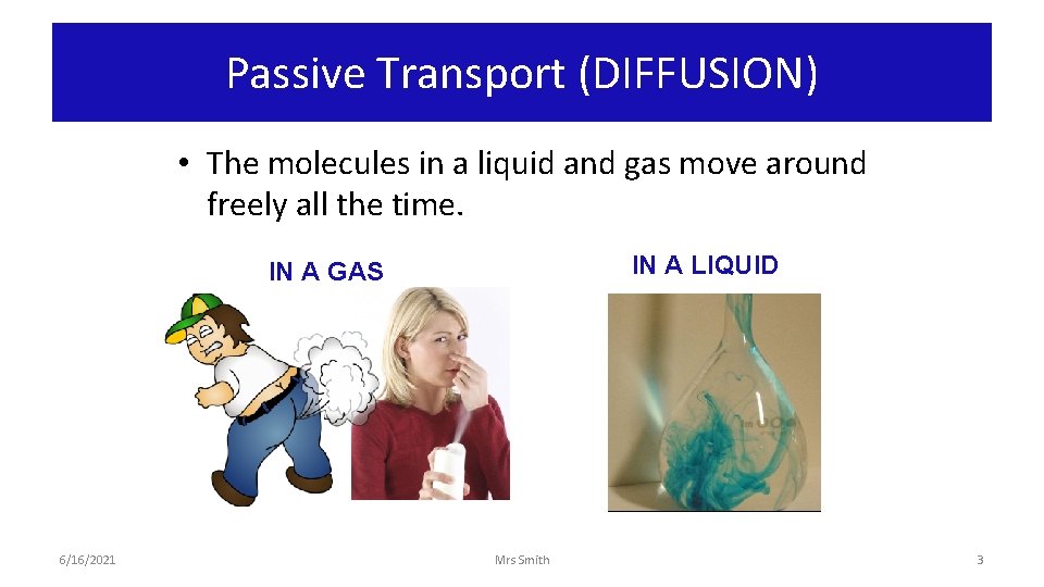 Passive Transport (DIFFUSION) • The molecules in a liquid and gas move around freely