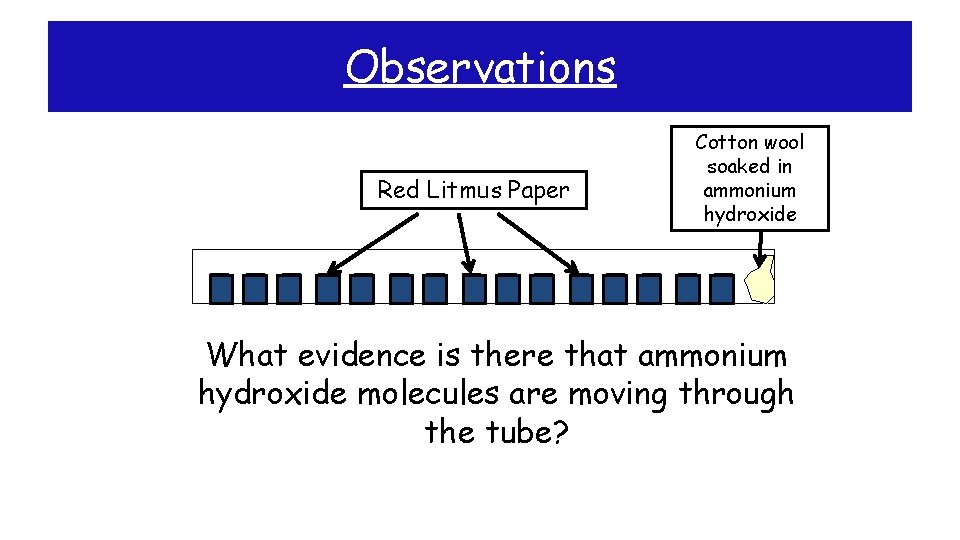 Observations Red Litmus Paper Cotton wool soaked in ammonium hydroxide What evidence is there
